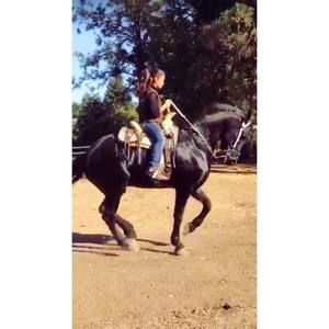 Meet your Posher, Darlene